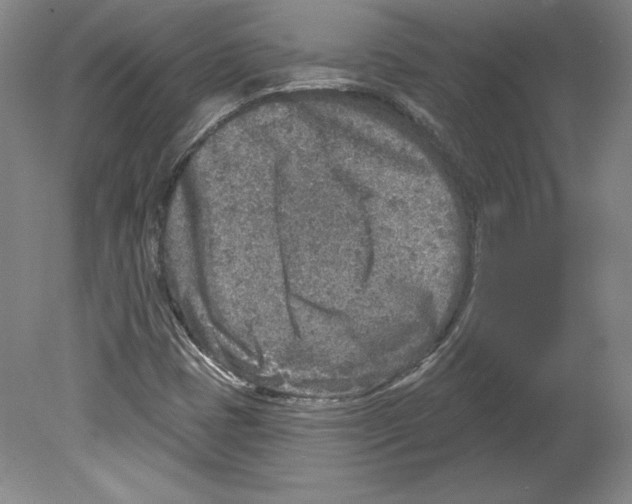 X0000079581401200612301355