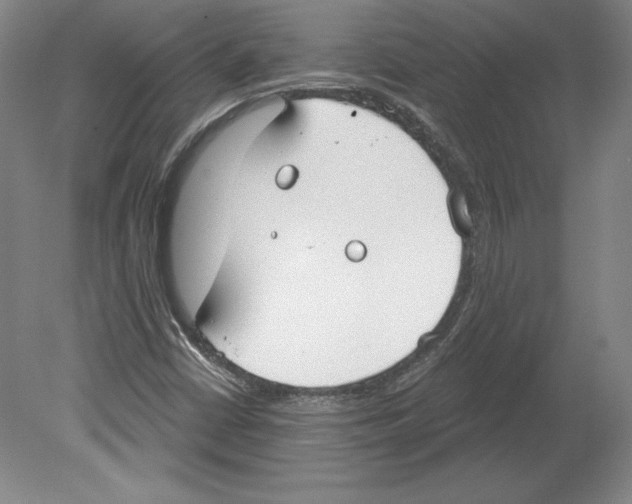 X0000079581402200612301355