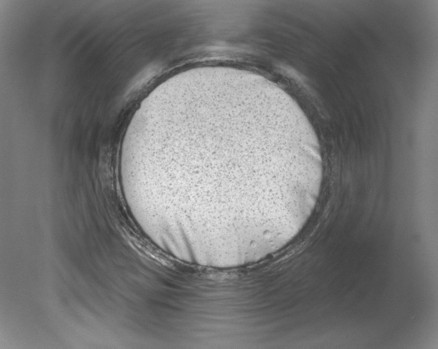 X0000079581403200612301355