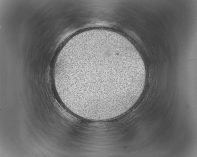 X0000079581404200612301355