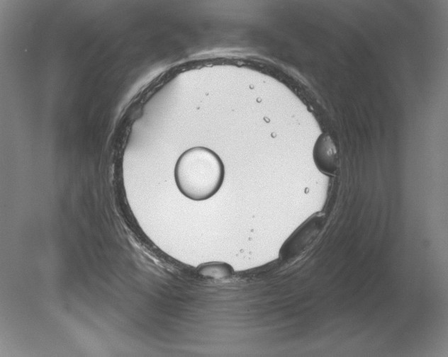 X0000079581406200612301355