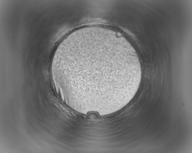 X0000079581407200612301355