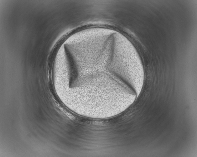 X0000079581408200612301355