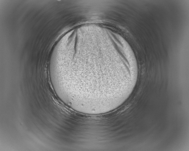 X0000079581409200612301355