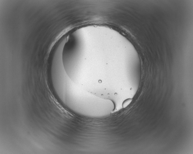 X0000079581410200612301355