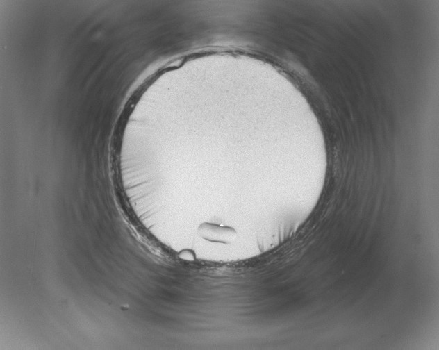 X0000079581412200612301355