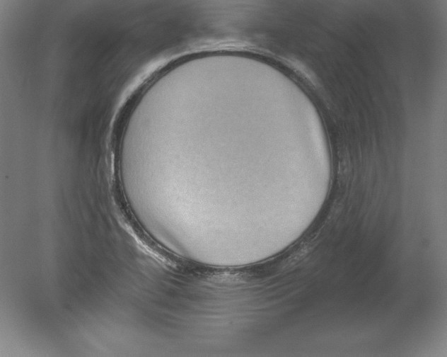 X0000079581414200612301355