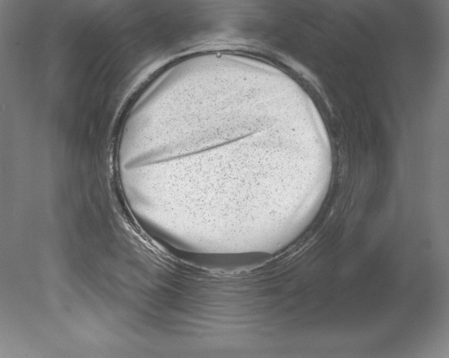 X0000079581415200612301355