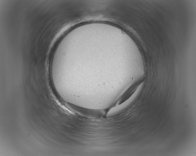 X0000079581416200612301355