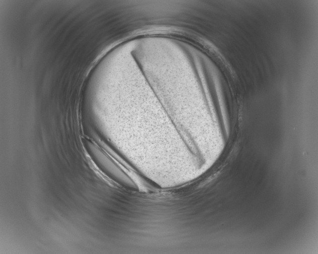 X0000079581417200612301355