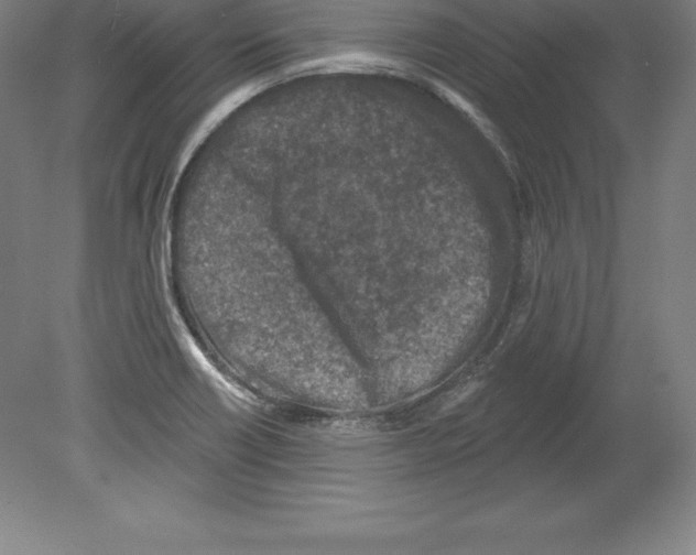 X0000079581418200612301355