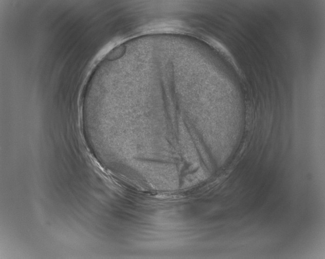 X0000079581419200612301355