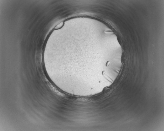 X0000079581420200612301355