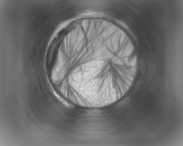 X0000079581421200612301355