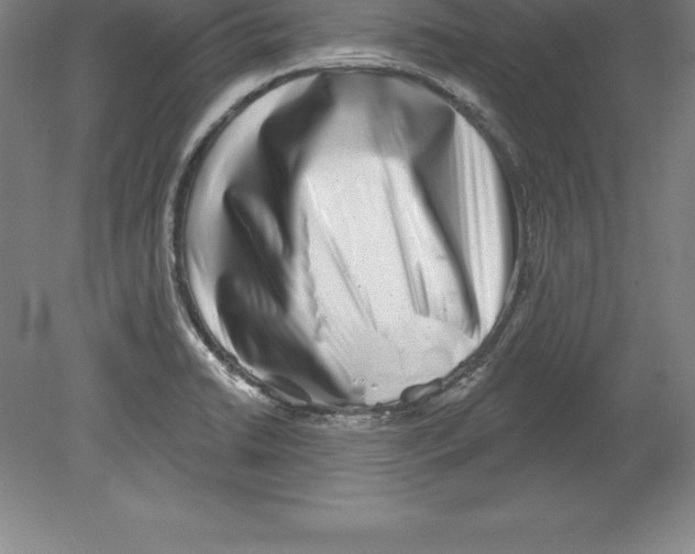 X0000079581422200612301355