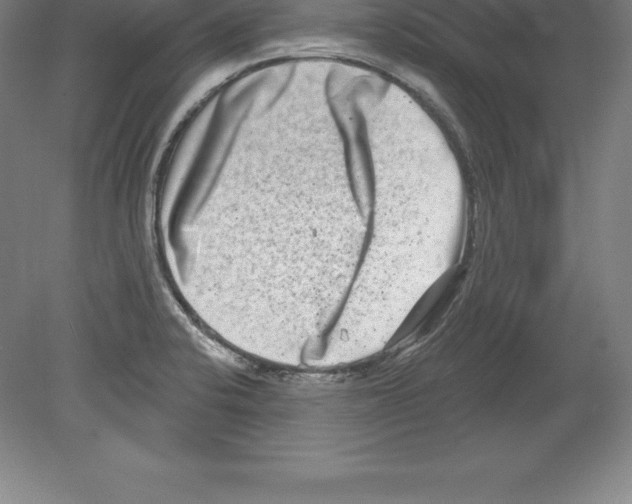 X0000079581424200612301355