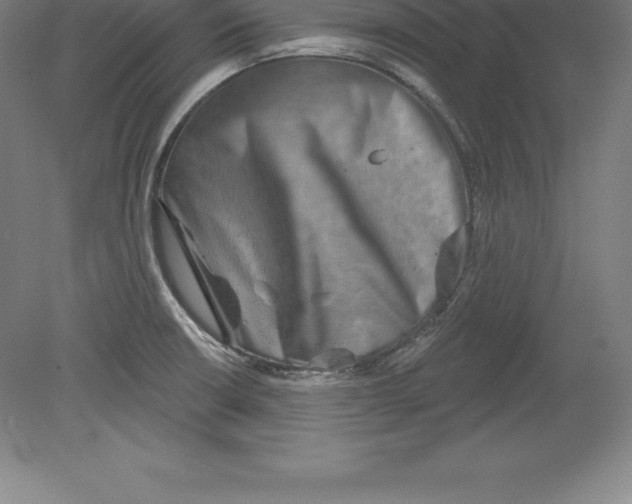 X0000079581426200612301355