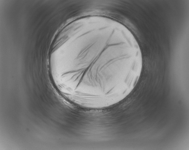 X0000079581428200612301355