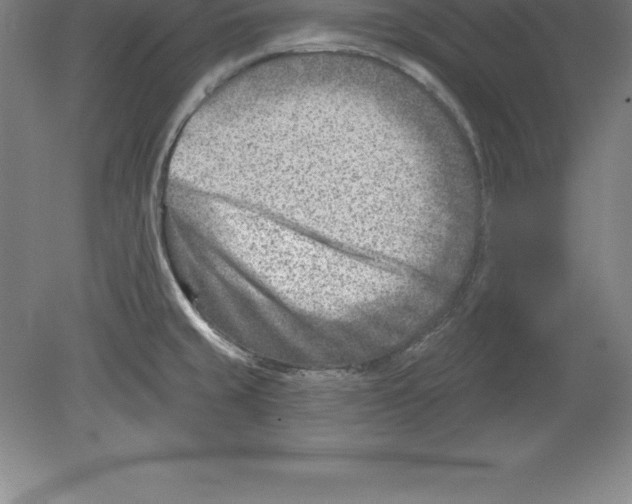 X0000079581429200612301355