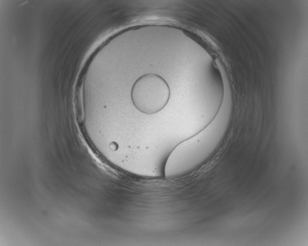 X0000079581430200612301355