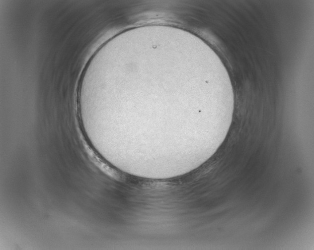 X0000079581431200612301355