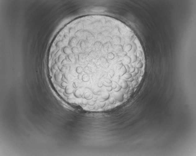 X0000079581432200612301355