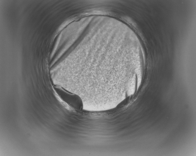 X0000079581433200612301355