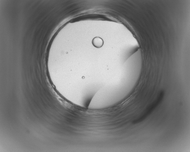 X0000079581434200612301355