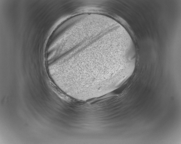 X0000079581435200612301355