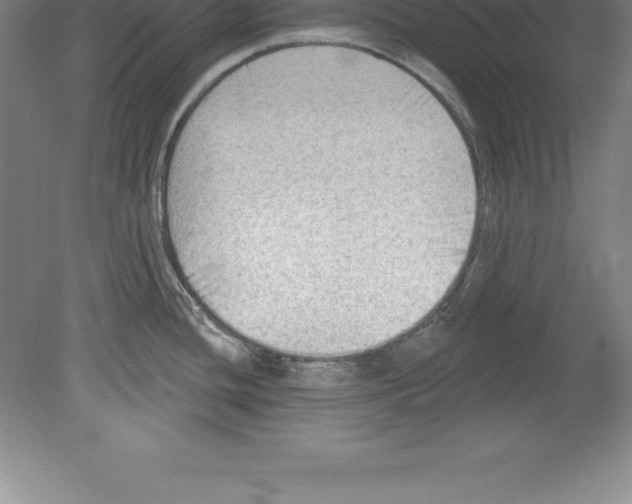 X0000079581436200612301355