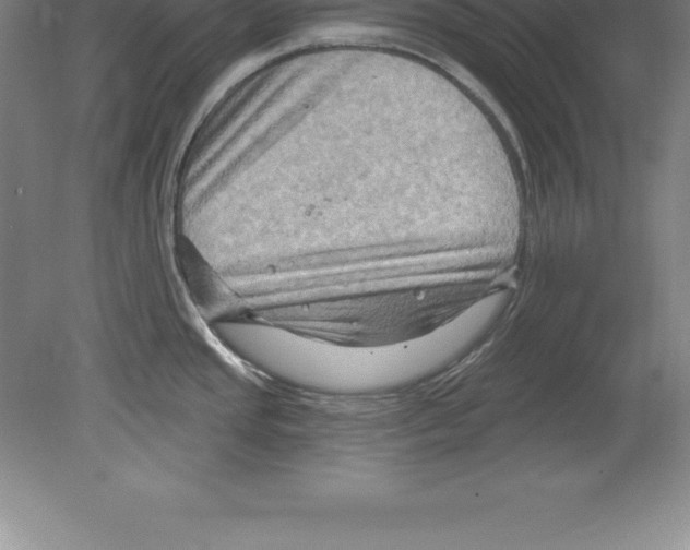 X0000079581437200612301355