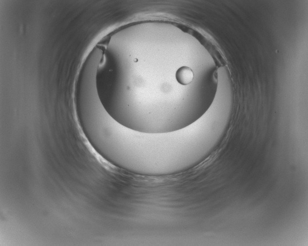 X0000079581438200612301355