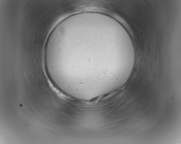 X0000079581439200612301355