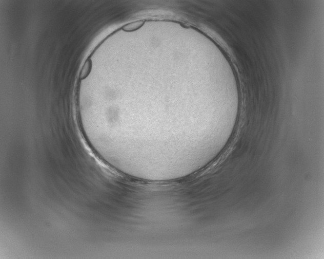 X0000079581440200612301355