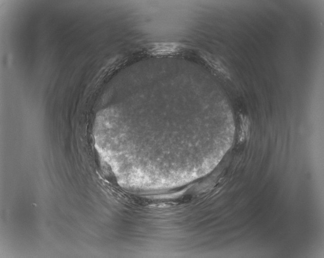 X0000079581441200612301354