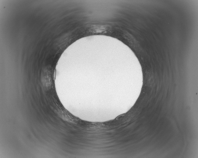 X0000079581442200612301354