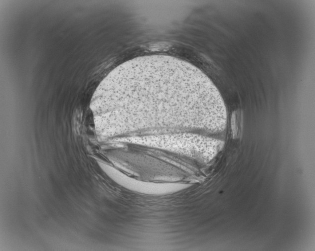 X0000079581443200612301354