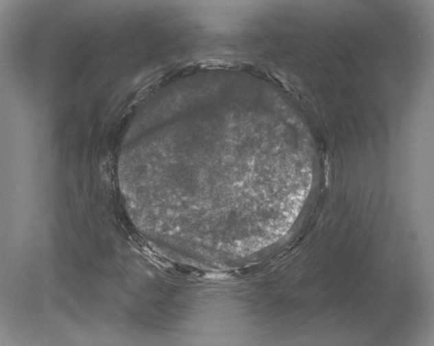 X0000079581445200612301354