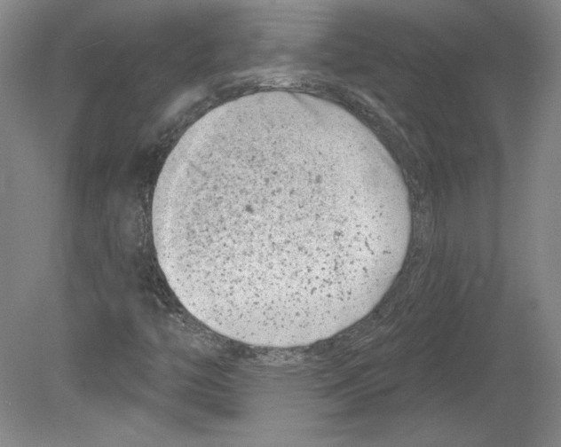 X0000079581446200612301354