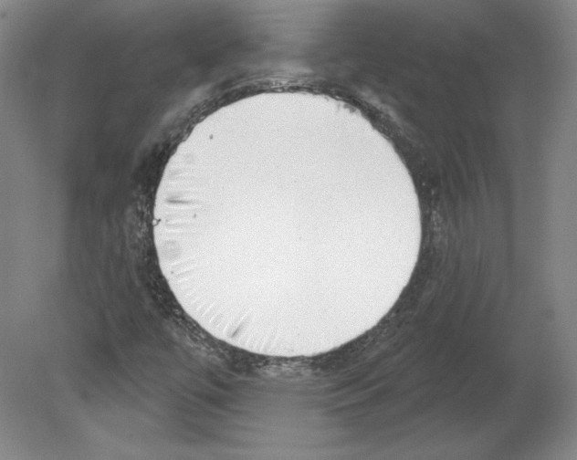 X0000079581447200612301354