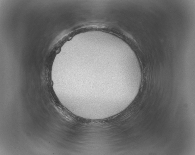 X0000079581448200612301354