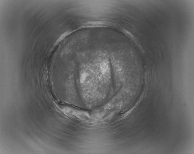 X0000079581449200612301354