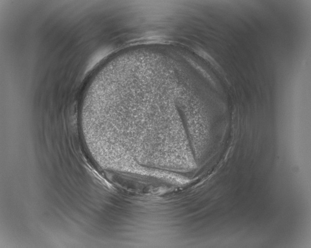 X0000079581450200612301354