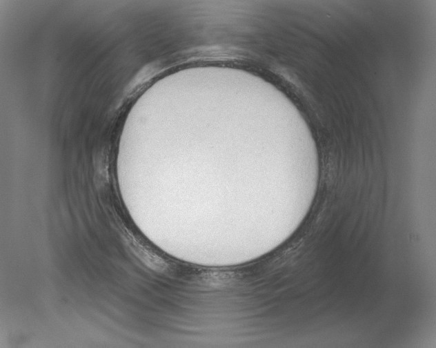 X0000079581451200612301354