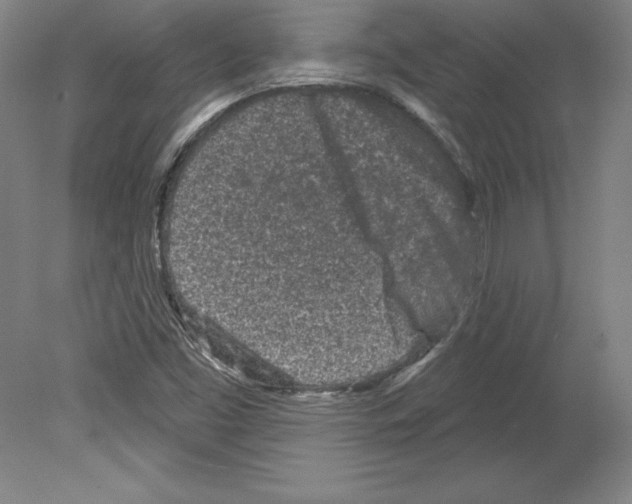 X0000079581453200612301354