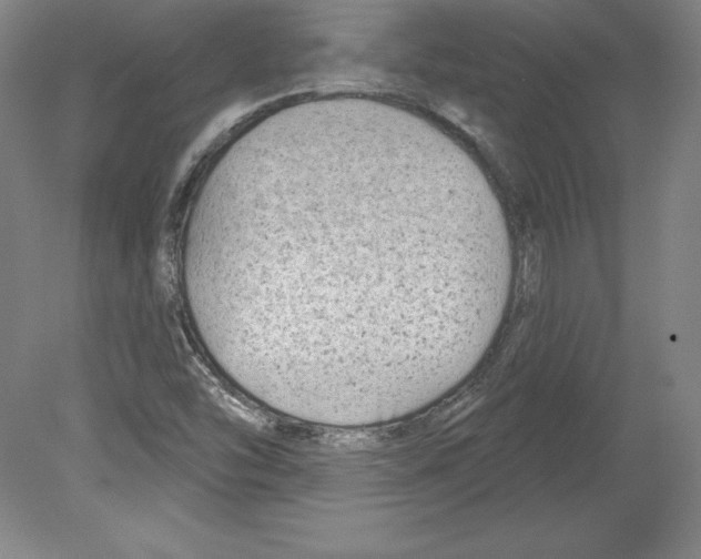 X0000079581454200612301354