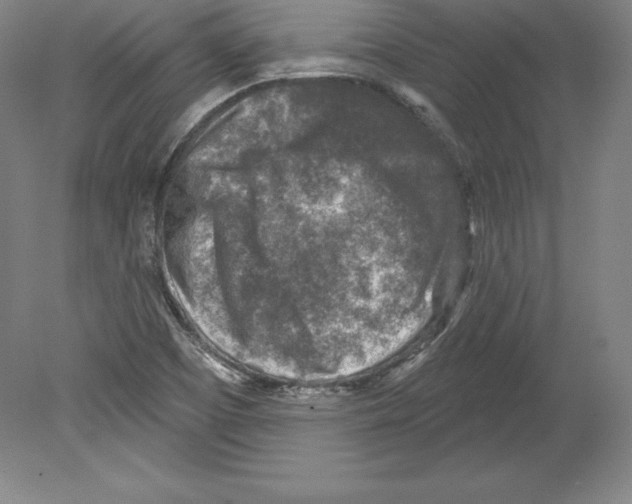 X0000079581457200612301354