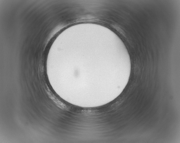 X0000079581458200612301354