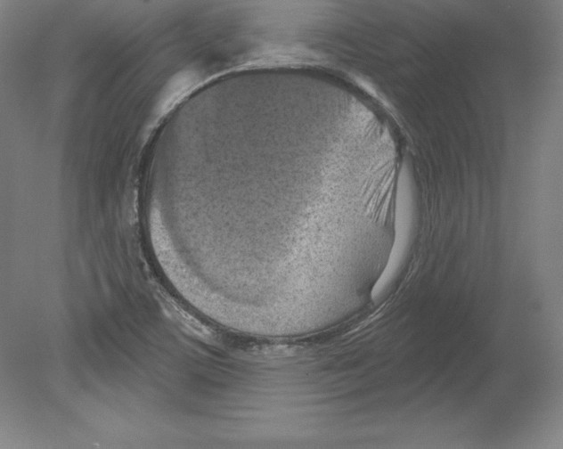 X0000079581459200612301354