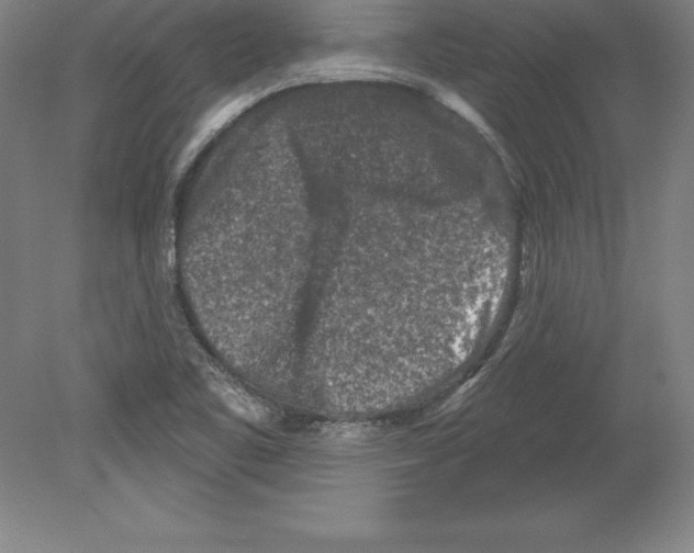 X0000079581461200612301354